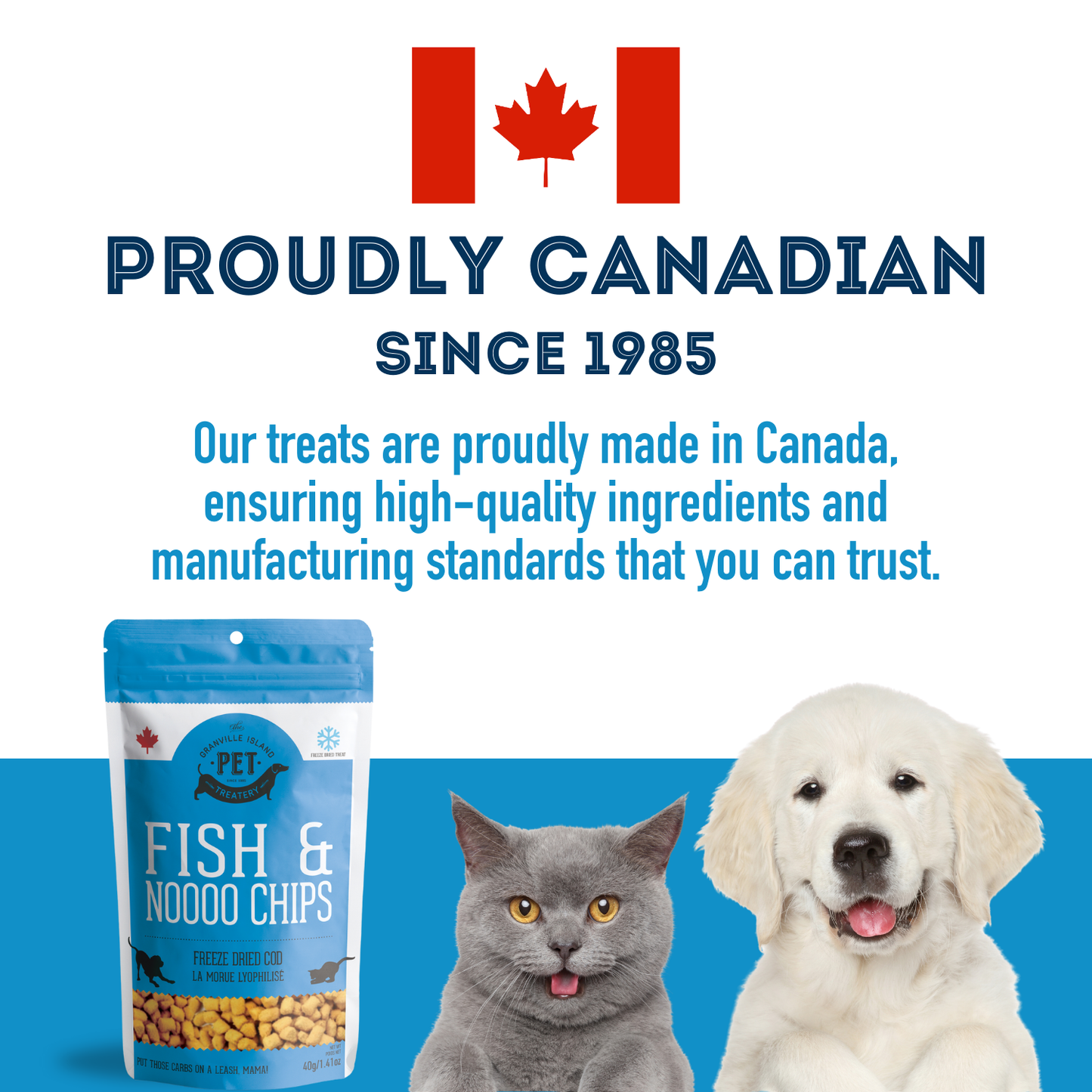 Freeze Dried Wild Cod Treat For Dogs & Cats // 40g