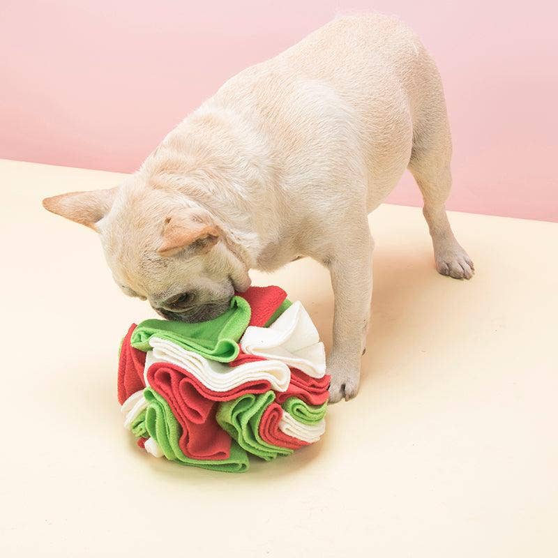 Pawsome Sniff 'n Seek Dog Enrichment Ball!