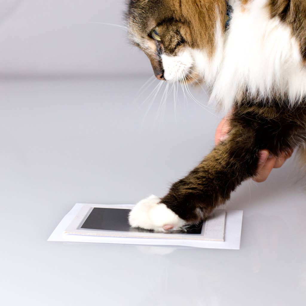 Pawprints Desk Frame with Clean-Touch Ink Kit, White