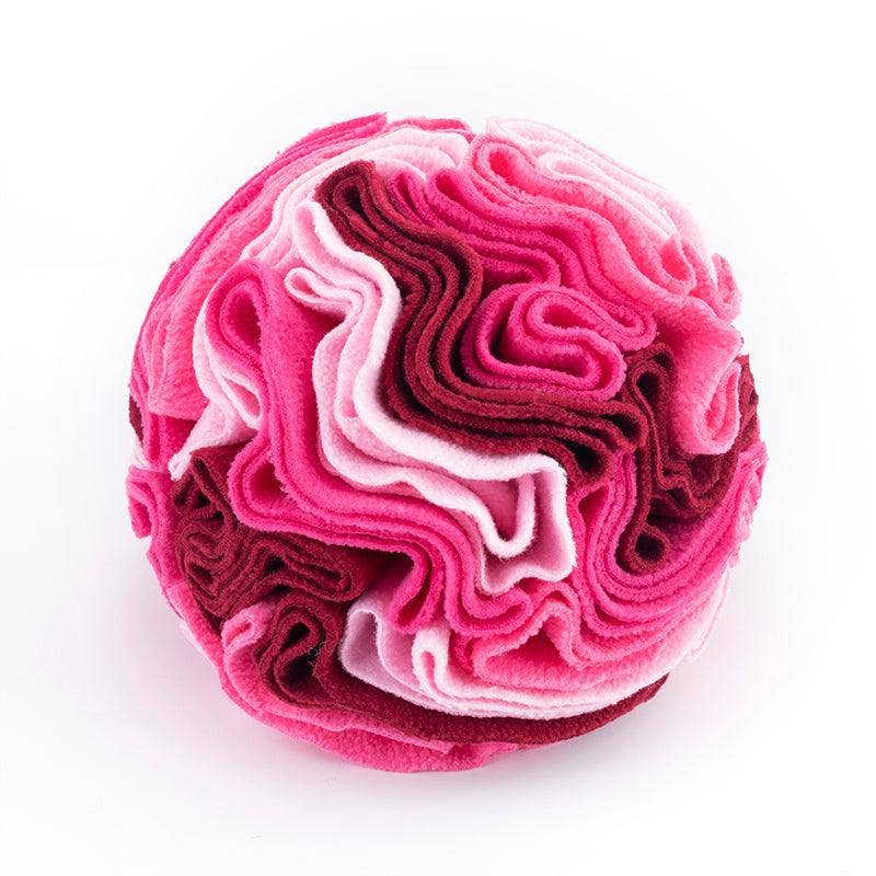 Pawsome Sniff 'n Seek Dog Enrichment Ball!