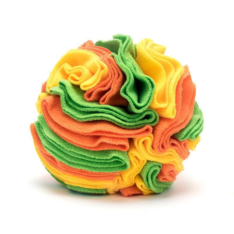 Pawsome Sniff 'n Seek Dog Enrichment Ball!