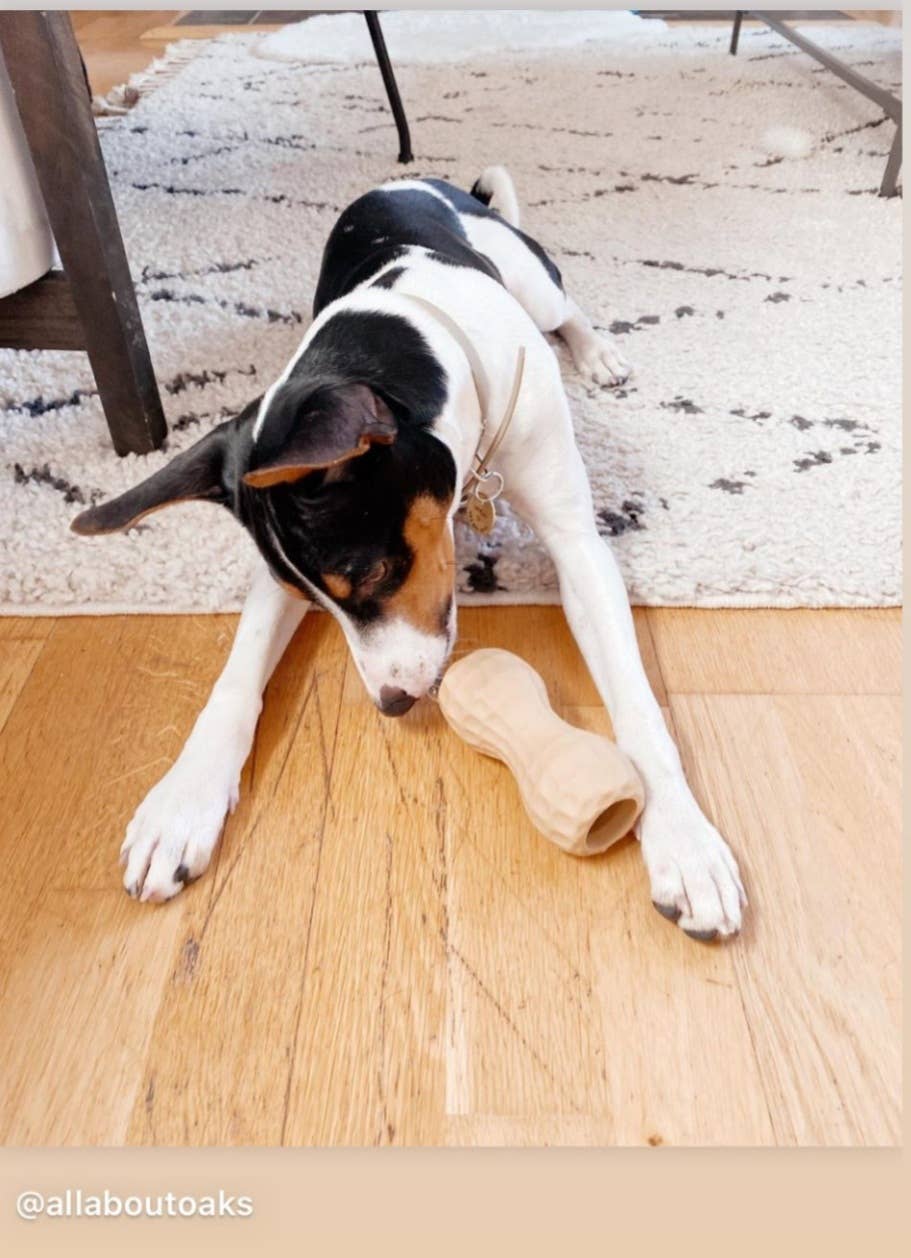 Poochie Butter! // 2oz Squeeze Pack + Peanut Shaped Toy Filler