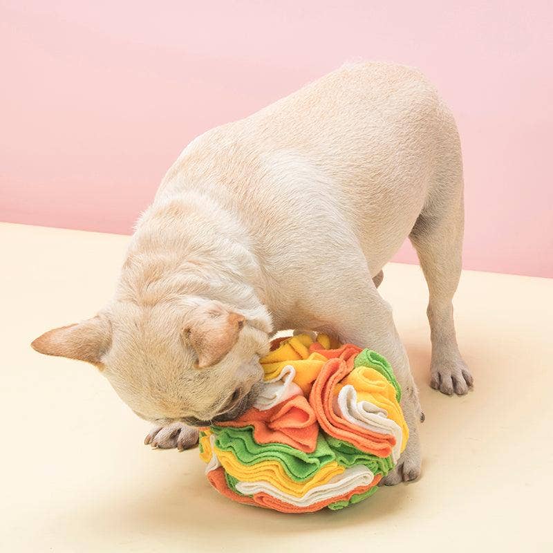 Pawsome Sniff 'n Seek Dog Enrichment Ball!