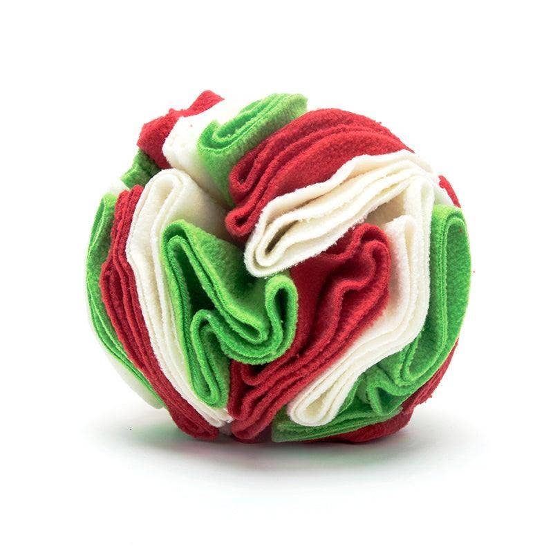 Pawsome Sniff 'n Seek Dog Enrichment Ball!