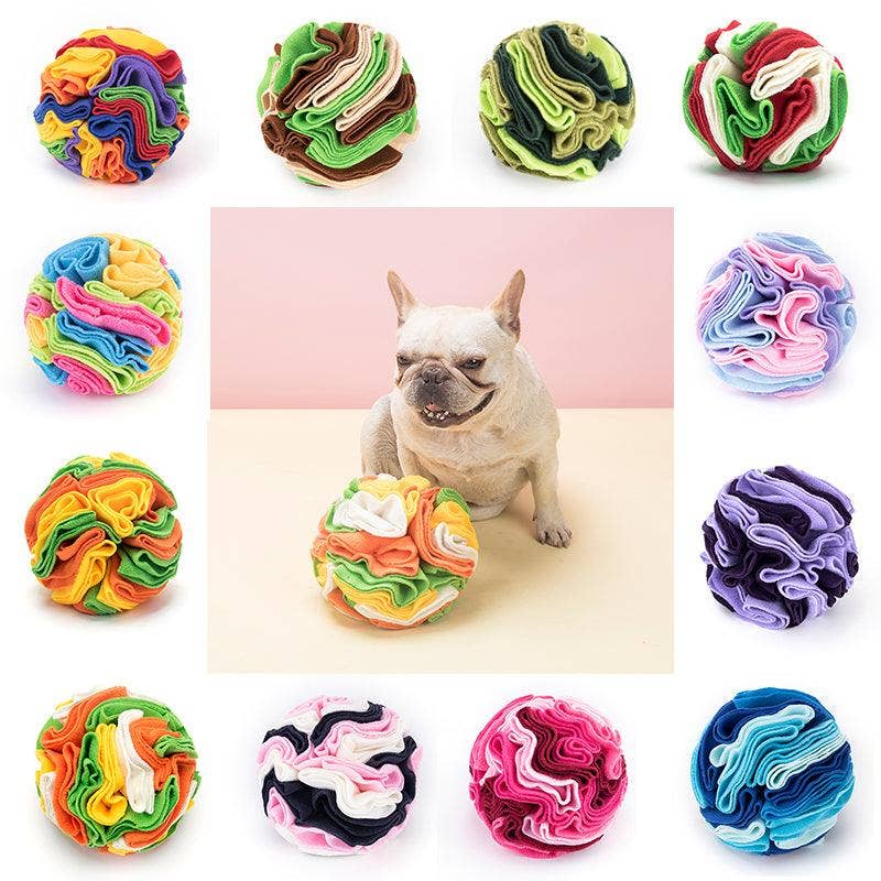 Pawsome Sniff 'n Seek Dog Enrichment Ball!