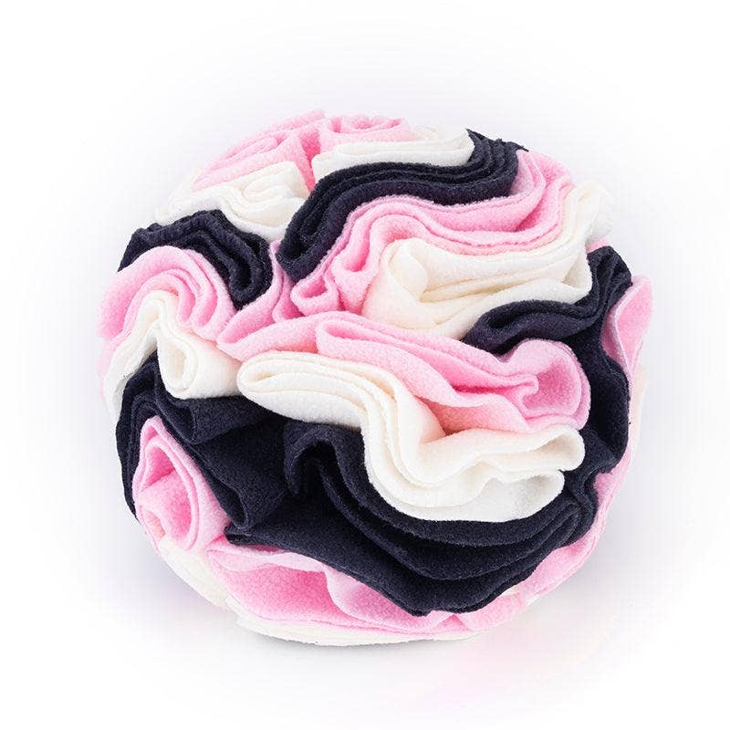 Pawsome Sniff 'n Seek Dog Enrichment Ball!