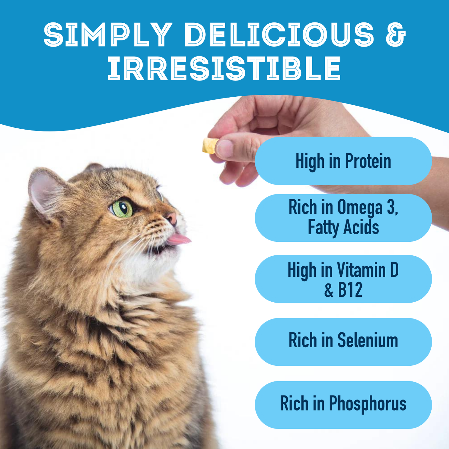Freeze Dried Wild Cod Treat For Dogs & Cats // 40g