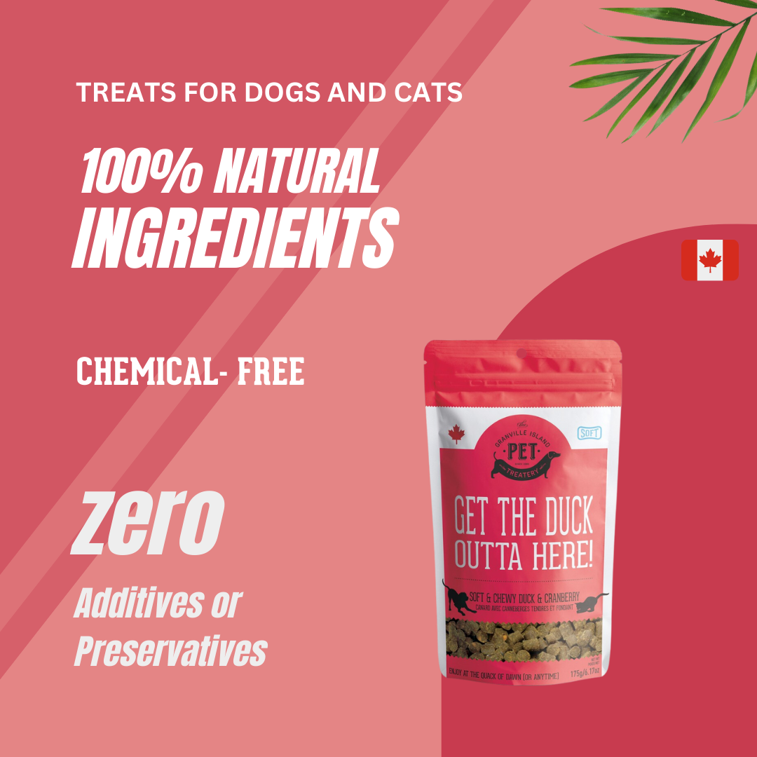 Soft & Chewy Duck & Cranberry Treat For Dogs // 175g