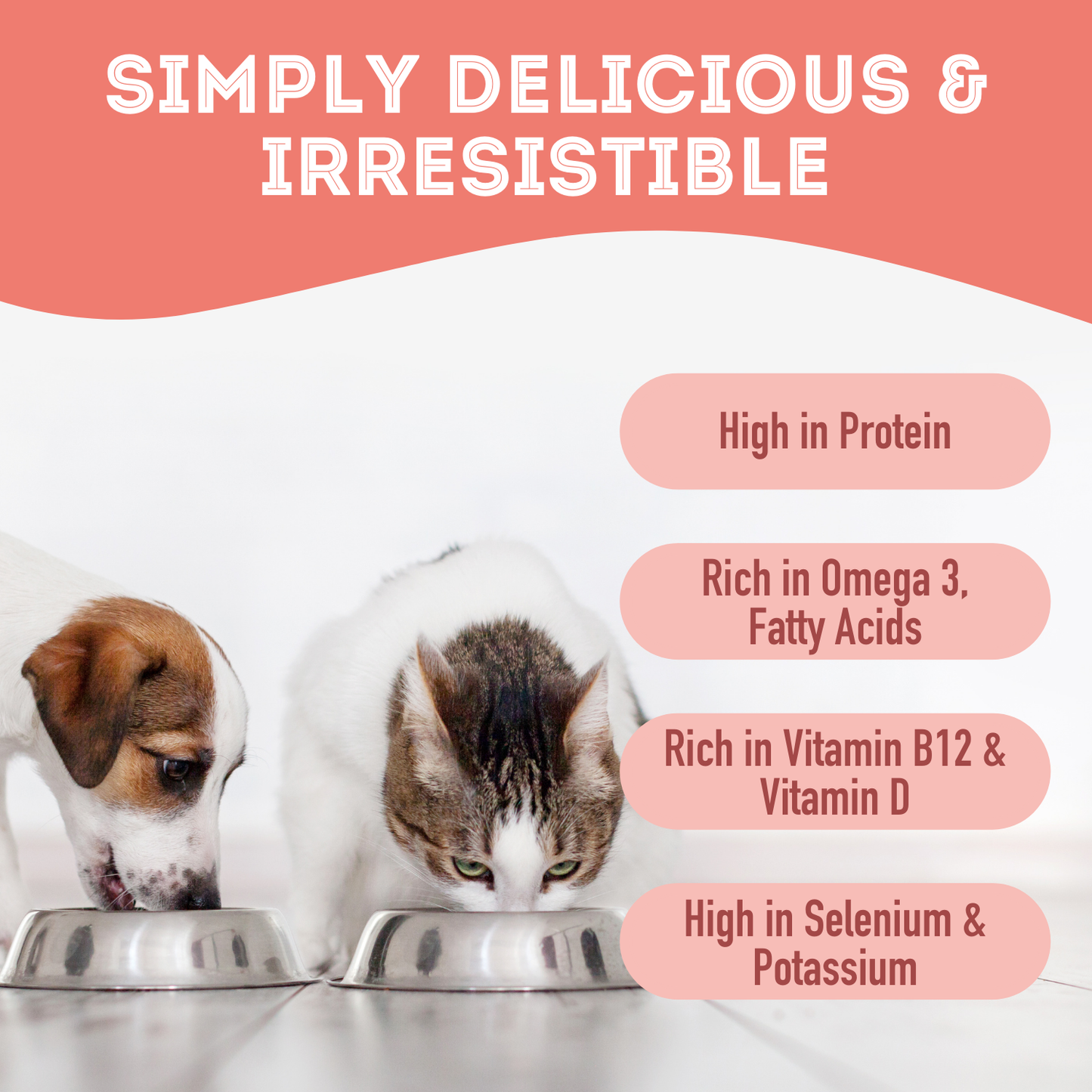 Freeze Dried Tuna Flakes Treat For Cats & Dogs // 60G