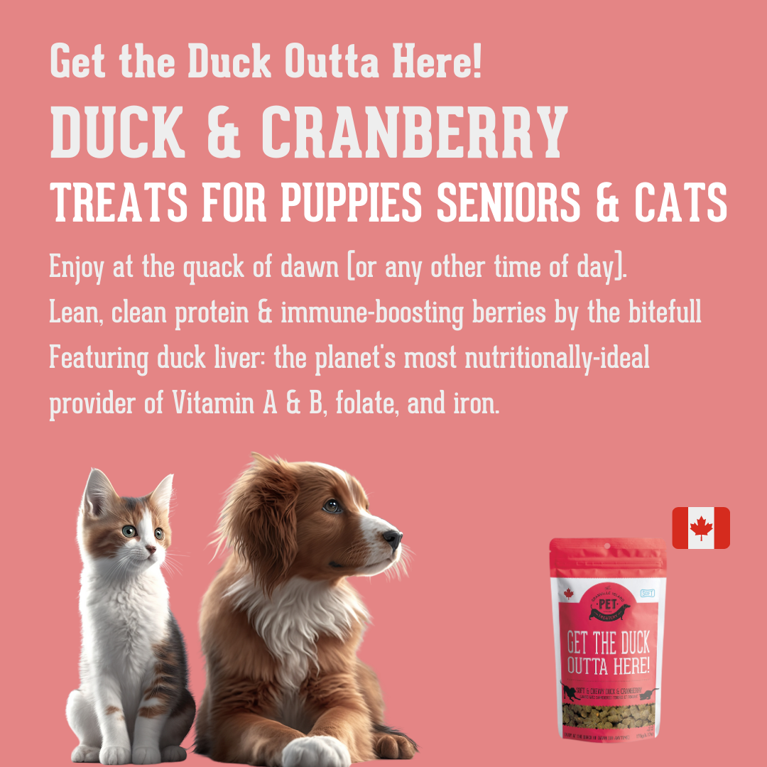 Soft & Chewy Duck & Cranberry Treat For Dogs // 175g